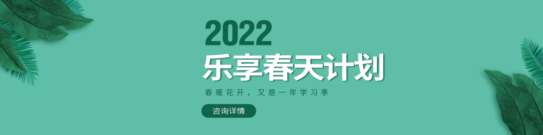 红桃国际一起草官网